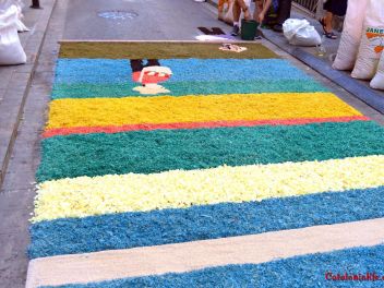 Ковры из цветов в Бланесе,Estores de Flors de Raval en Blanes, CATIFES DE FLORS NATURALS a Blanes 