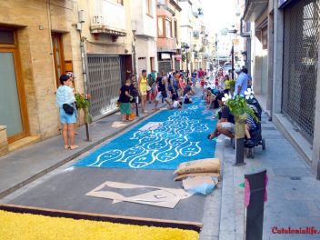 Ковры из цветов в Бланесе,Estores de Flors de Raval en Blanes, CATIFES DE FLORS NATURALS a Blanes 