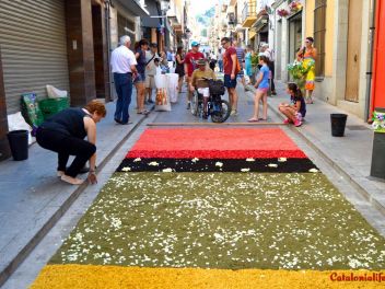 Ковры из цветов в Бланесе,Estores de Flors de Raval en Blanes, CATIFES DE FLORS NATURALS a Blanes 