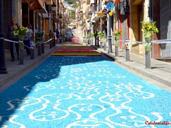 Ковры из цветов в Бланесе,Estores de Flors de Raval en Blanes, CATIFES DE FLORS NATURALS a Blanes 