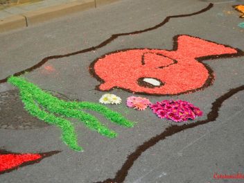«Ковры из цветов» в Бланесе 2016 г. (Estores de Flors de Raval. Blanes 2016/Catifes de Corpus Blanes 2016)
