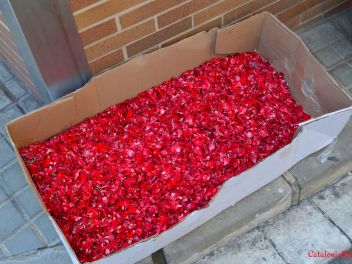 «Ковры из цветов» в Бланесе 2016 г. (Estores de Flors de Raval. Blanes 2016/Catifes de Corpus Blanes 2016)