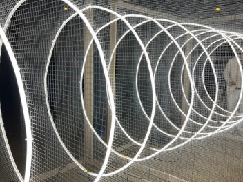 Фестиваль света в Барселоне 2026 / LLUM Bcn 2026 / LlumBCN2026