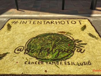 Фотоотчёт: Ковры из натуральных цветов в городе Арбусиес, 2021 / Catifes de flors naturals a Arbúcies, 2021 (Alfombras de flores naturales en Arbúcies, 2022)