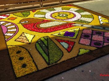 Фотоотчёт: Ковры из натуральных цветов в городе Арбусиес, 2021 / Catifes de flors naturals a Arbúcies, 2021 (Alfombras de flores naturales en Arbúcies, 2022)