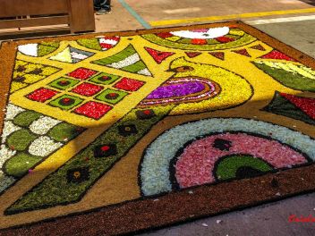 Фотоотчёт: Ковры из натуральных цветов в городе Арбусиес, 2021 / Catifes de flors naturals a Arbúcies, 2021 (Alfombras de flores naturales en Arbúcies, 2022)