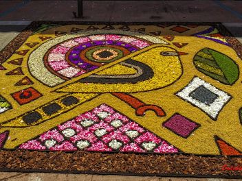 Фотоотчёт: Ковры из натуральных цветов в городе Арбусиес, 2021 / Catifes de flors naturals a Arbúcies, 2021 (Alfombras de flores naturales en Arbúcies, 2022)
