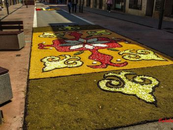Фотоотчёт: Ковры из натуральных цветов в городе Арбусиес, 2021 / Catifes de flors naturals a Arbúcies, 2021 (Alfombras de flores naturales en Arbúcies, 2022)
