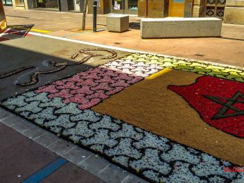 Фотоотчёт: Ковры из натуральных цветов в городе Арбусиес, 2021 / Catifes de flors naturals a Arbúcies, 2021 (Alfombras de flores naturales en Arbúcies, 2022)