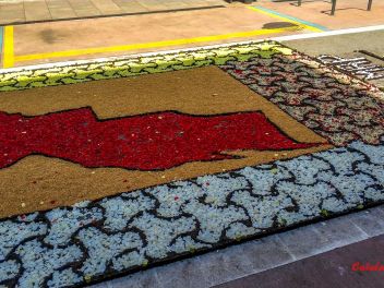 Фотоотчёт: Ковры из натуральных цветов в городе Арбусиес, 2021 / Catifes de flors naturals a Arbúcies, 2021 (Alfombras de flores naturales en Arbúcies, 2022)