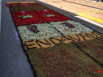 Фотоотчёт: Ковры из натуральных цветов в городе Арбусиес, 2021 / Catifes de flors naturals a Arbúcies, 2021 (Alfombras de flores naturales en Arbúcies, 2022)