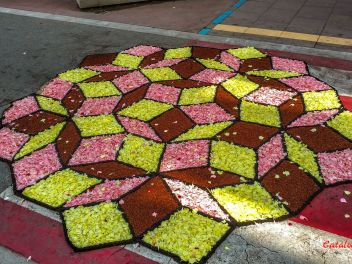 Фотоотчёт: Ковры из натуральных цветов в городе Арбусиес, 2021 / Catifes de flors naturals a Arbúcies, 2021 (Alfombras de flores naturales en Arbúcies, 2022)