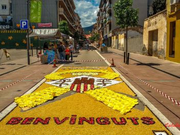 Фотоотчёт: Ковры из натуральных цветов в городе Арбусиес, 2021 / Catifes de flors naturals a Arbúcies, 2021 (Alfombras de flores naturales en Arbúcies, 2022)