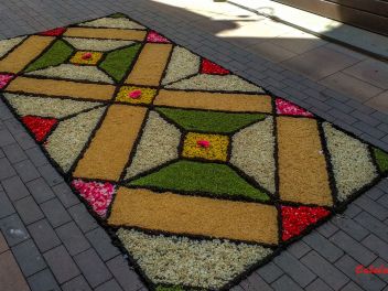 Фотоотчёт: Ковры из натуральных цветов в городе Арбусиес, 2021 / Catifes de flors naturals a Arbúcies, 2021 (Alfombras de flores naturales en Arbúcies, 2022)