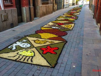 Фотоотчёт: Ковры из натуральных цветов в городе Арбусиес, 2021 / Catifes de flors naturals a Arbúcies, 2021 (Alfombras de flores naturales en Arbúcies, 2022)