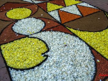 Фотоотчёт: Ковры из натуральных цветов в городе Арбусиес, 2021 / Catifes de flors naturals a Arbúcies, 2021 (Alfombras de flores naturales en Arbúcies, 2022)