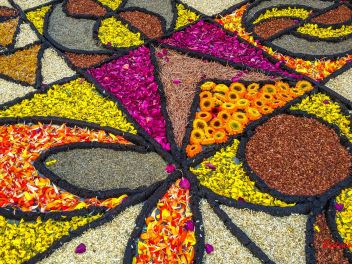 Фотоотчёт: Ковры из натуральных цветов в городе Арбусиес, 2021 / Catifes de flors naturals a Arbúcies, 2021 (Alfombras de flores naturales en Arbúcies, 2022)