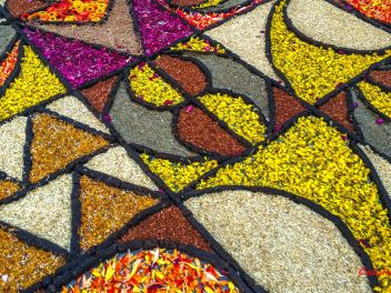 Фотоотчёт: Ковры из натуральных цветов в городе Арбусиес, 2021 / Catifes de flors naturals a Arbúcies, 2021 (Alfombras de flores naturales en Arbúcies, 2022)