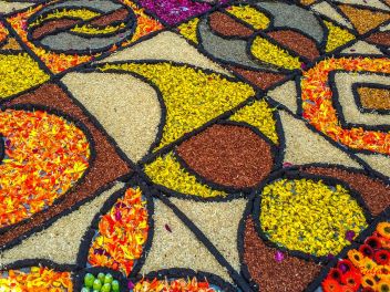 Фотоотчёт: Ковры из натуральных цветов в городе Арбусиес, 2021 / Catifes de flors naturals a Arbúcies, 2021 (Alfombras de flores naturales en Arbúcies, 2022)