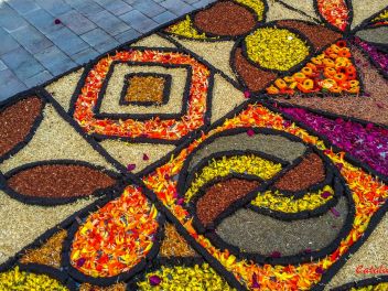 Фотоотчёт: Ковры из натуральных цветов в городе Арбусиес, 2021 / Catifes de flors naturals a Arbúcies, 2021 (Alfombras de flores naturales en Arbúcies, 2022)