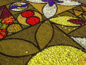 Фотоотчёт: Ковры из натуральных цветов в городе Арбусиес, 2021 / Catifes de flors naturals a Arbúcies, 2021 (Alfombras de flores naturales en Arbúcies, 2022)