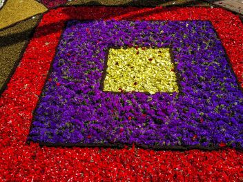 Фотоотчёт: Ковры из натуральных цветов в городе Арбусиес, 2021 / Catifes de flors naturals a Arbúcies, 2021 (Alfombras de flores naturales en Arbúcies, 2022)