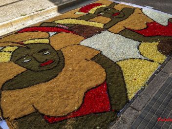 Фотоотчёт: Ковры из натуральных цветов в городе Арбусиес, 2021 / Catifes de flors naturals a Arbúcies, 2021 (Alfombras de flores naturales en Arbúcies, 2022)