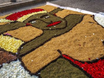 Фотоотчёт: Ковры из натуральных цветов в городе Арбусиес, 2021 / Catifes de flors naturals a Arbúcies, 2021 (Alfombras de flores naturales en Arbúcies, 2022)