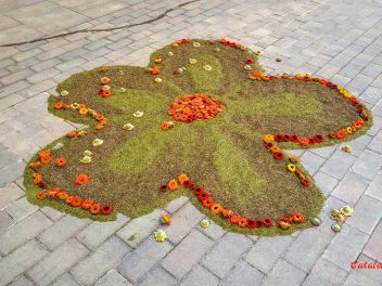 Фотоотчёт: Ковры из натуральных цветов в городе Арбусиес, 2021 / Catifes de flors naturals a Arbúcies, 2021 (Alfombras de flores naturales en Arbúcies, 2022)