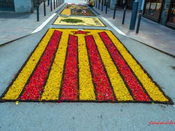 Фотоотчёт: Ковры из натуральных цветов в городе Арбусиес, 2021 / Catifes de flors naturals a Arbúcies, 2021 (Alfombras de flores naturales en Arbúcies, 2022)