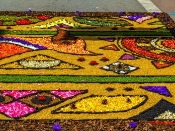 Фотоотчёт: Ковры из натуральных цветов в городе Арбусиес, 2021 / Catifes de flors naturals a Arbúcies, 2021 (Alfombras de flores naturales en Arbúcies, 2022)