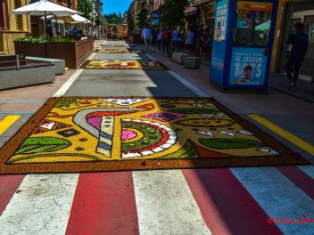 Фотоотчёт: Ковры из натуральных цветов в городе Арбусиес, 2021 / Catifes de flors naturals a Arbúcies, 2021 (Alfombras de flores naturales en Arbúcies, 2022)