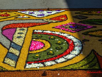 Фотоотчёт: Ковры из натуральных цветов в городе Арбусиес, 2021 / Catifes de flors naturals a Arbúcies, 2021 (Alfombras de flores naturales en Arbúcies, 2022)