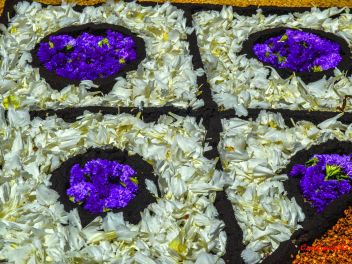 Фотоотчёт: Ковры из натуральных цветов в городе Арбусиес, 2021 / Catifes de flors naturals a Arbúcies, 2021 (Alfombras de flores naturales en Arbúcies, 2022)