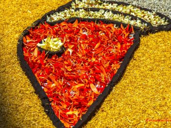 Фотоотчёт: Ковры из натуральных цветов в городе Арбусиес, 2021 / Catifes de flors naturals a Arbúcies, 2021 (Alfombras de flores naturales en Arbúcies, 2022)