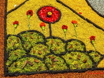 Фотоотчёт: Ковры из натуральных цветов в городе Арбусиес, 2021 / Catifes de flors naturals a Arbúcies, 2021 (Alfombras de flores naturales en Arbúcies, 2022)