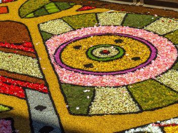 Фотоотчёт: Ковры из натуральных цветов в городе Арбусиес, 2021 / Catifes de flors naturals a Arbúcies, 2021 (Alfombras de flores naturales en Arbúcies, 2022)