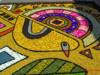 Фотоотчёт: Ковры из натуральных цветов в городе Арбусиес, 2021 / Catifes de flors naturals a Arbúcies, 2021 (Alfombras de flores naturales en Arbúcies, 2022)