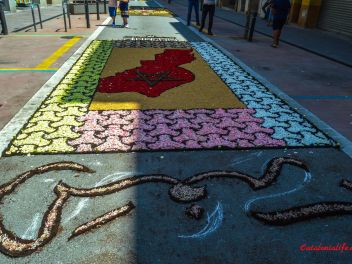 Фотоотчёт: Ковры из натуральных цветов в городе Арбусиес, 2021 / Catifes de flors naturals a Arbúcies, 2021 (Alfombras de flores naturales en Arbúcies, 2022)