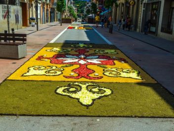 Фотоотчёт: Ковры из натуральных цветов в городе Арбусиес, 2021 / Catifes de flors naturals a Arbúcies, 2021 (Alfombras de flores naturales en Arbúcies, 2022)