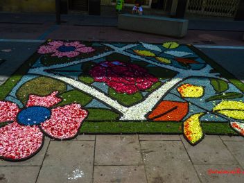 Фотоотчёт: Ковры из натуральных цветов в городе Арбусиес, 2021 / Catifes de flors naturals a Arbúcies, 2021 (Alfombras de flores naturales en Arbúcies, 2022)