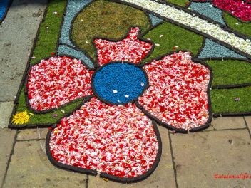 Фотоотчёт: Ковры из натуральных цветов в городе Арбусиес, 2021 / Catifes de flors naturals a Arbúcies, 2021 (Alfombras de flores naturales en Arbúcies, 2022)