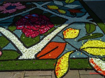 Фотоотчёт: Ковры из натуральных цветов в городе Арбусиес, 2021 / Catifes de flors naturals a Arbúcies, 2021 (Alfombras de flores naturales en Arbúcies, 2022)