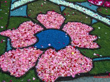 Фотоотчёт: Ковры из натуральных цветов в городе Арбусиес, 2021 / Catifes de flors naturals a Arbúcies, 2021 (Alfombras de flores naturales en Arbúcies, 2022)