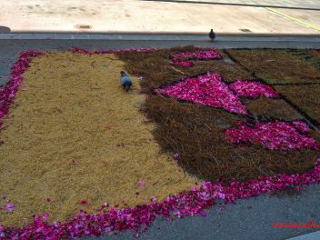 Фотоотчёт: Ковры из натуральных цветов в городе Арбусиес, 2021 / Catifes de flors naturals a Arbúcies, 2021 (Alfombras de flores naturales en Arbúcies, 2022)