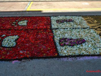 Фотоотчёт: Ковры из натуральных цветов в городе Арбусиес, 2021 / Catifes de flors naturals a Arbúcies, 2021 (Alfombras de flores naturales en Arbúcies, 2022)