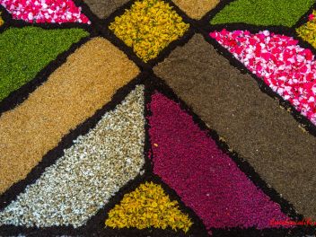 Фотоотчёт: Ковры из натуральных цветов в городе Арбусиес, 2021 / Catifes de flors naturals a Arbúcies, 2021 (Alfombras de flores naturales en Arbúcies, 2022)
