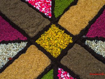 Фотоотчёт: Ковры из натуральных цветов в городе Арбусиес, 2021 / Catifes de flors naturals a Arbúcies, 2021 (Alfombras de flores naturales en Arbúcies, 2022)