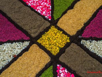 Фотоотчёт: Ковры из натуральных цветов в городе Арбусиес, 2021 / Catifes de flors naturals a Arbúcies, 2021 (Alfombras de flores naturales en Arbúcies, 2022)