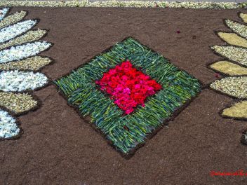 Фотоотчёт: Ковры из натуральных цветов в городе Арбусиес, 2021 / Catifes de flors naturals a Arbúcies, 2021 (Alfombras de flores naturales en Arbúcies, 2022)